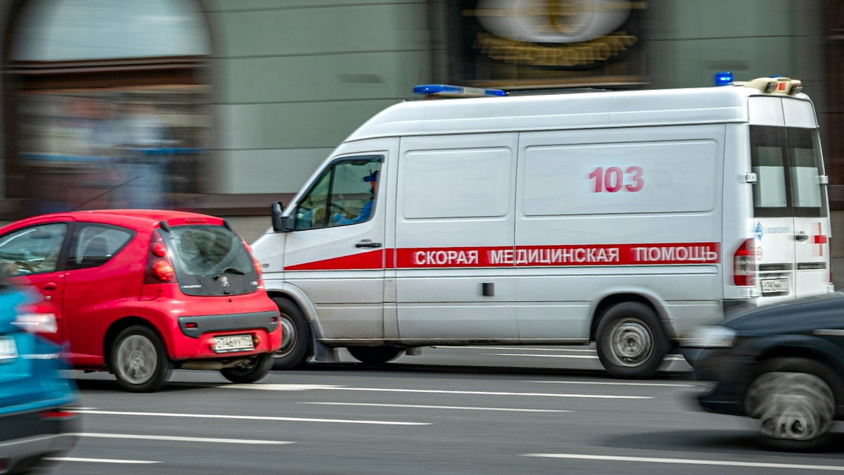    Фото: скрин видео с канала "Звезда", источник: tvzvezda.ru
