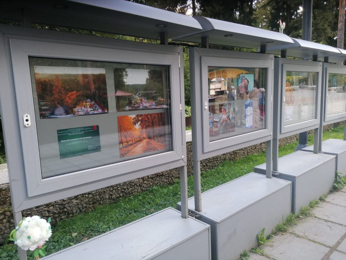 Работы учеников ШКИ