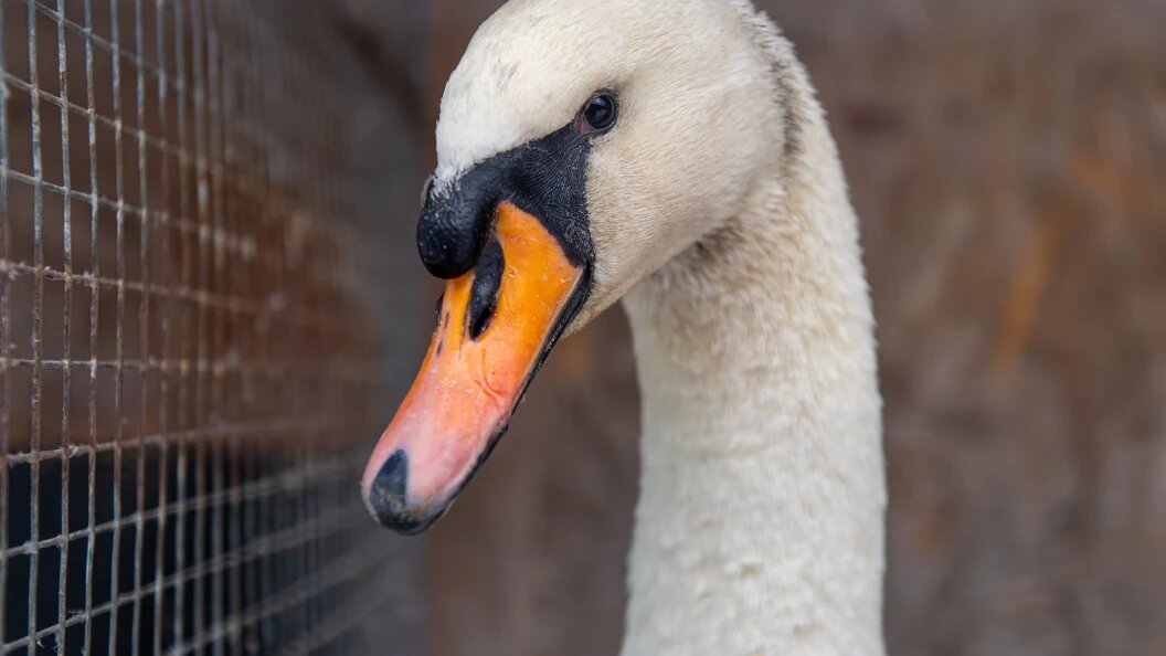    Фото: Komsomolskaya Pravda/Global Look Press