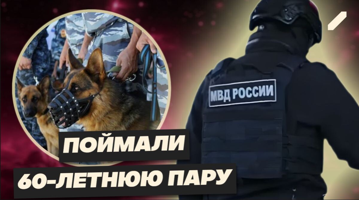 Питерская вечеринка на «Летучем Голландце» столкнулась с законом: что нашли в клубе?