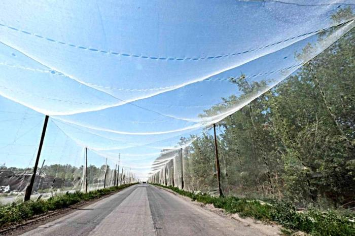 Так ВСУ пытаются защищать линии снабжения от беспилотников на тех участках, где фронт ещё не подошёл к трассе. В данном случае это окраины Константиновки, источник Телеграм-канал Военкор Котенок