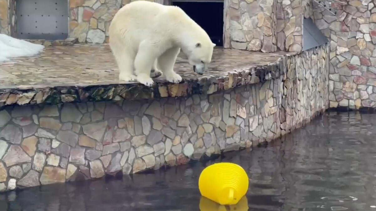    Фото: t.me/lenzoopark