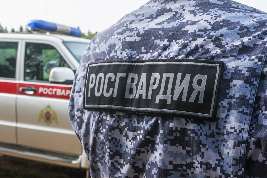    Сергей Петров/NEWS.ru