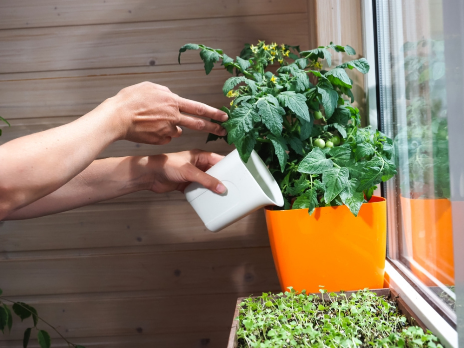    Shutterstock/FOTODOM