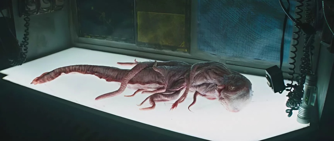 5 ярких фильмов ужасов последних 10 лет