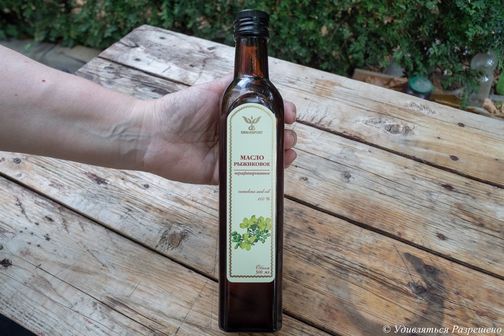 Мы начинаем наш осмотр