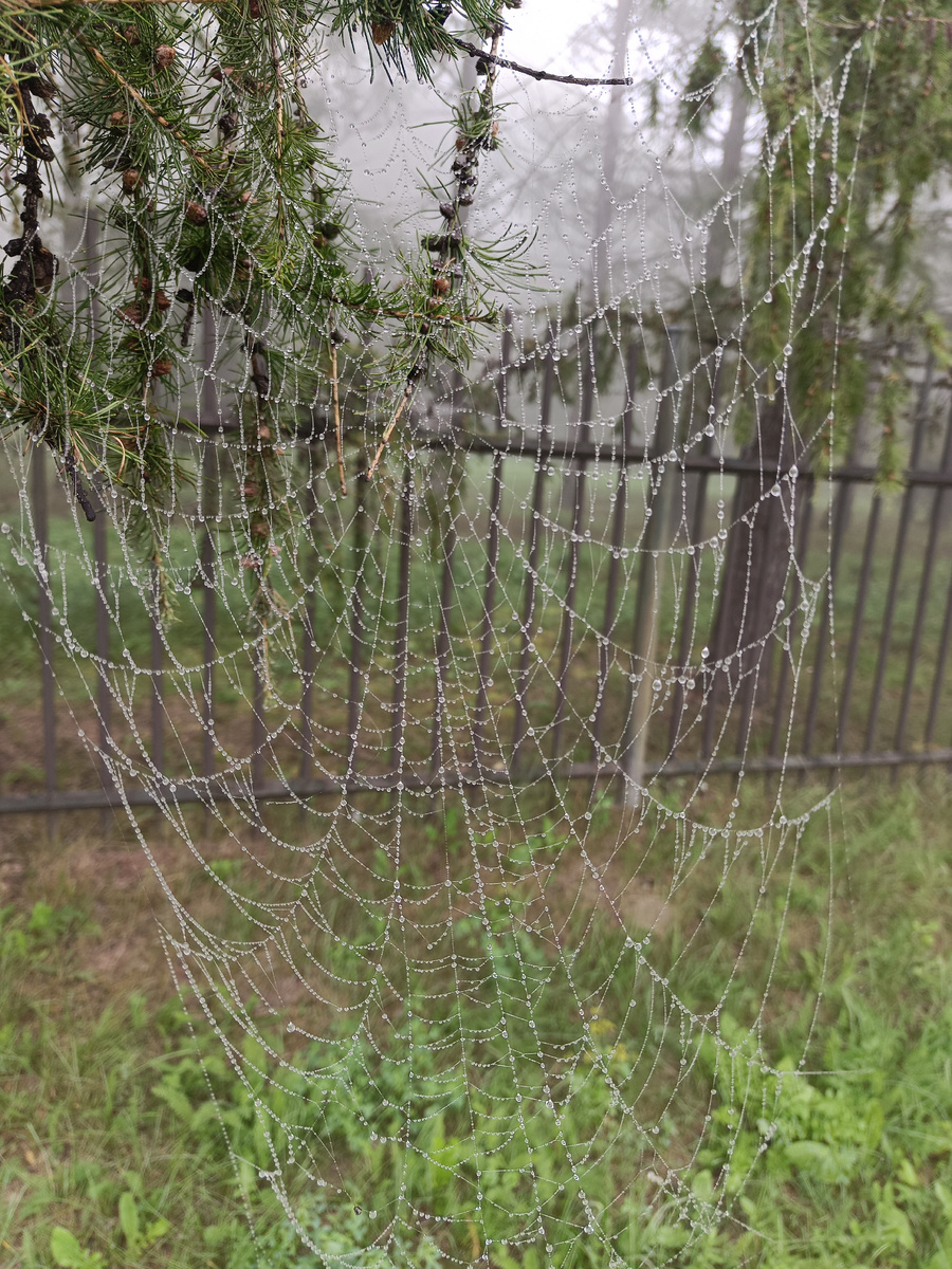 Приближение осени / –>