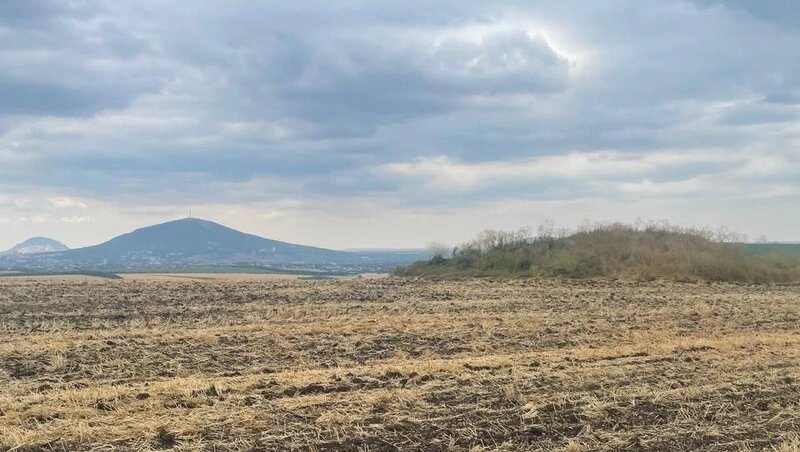      Фото: Управление СК по сохранению ОНК