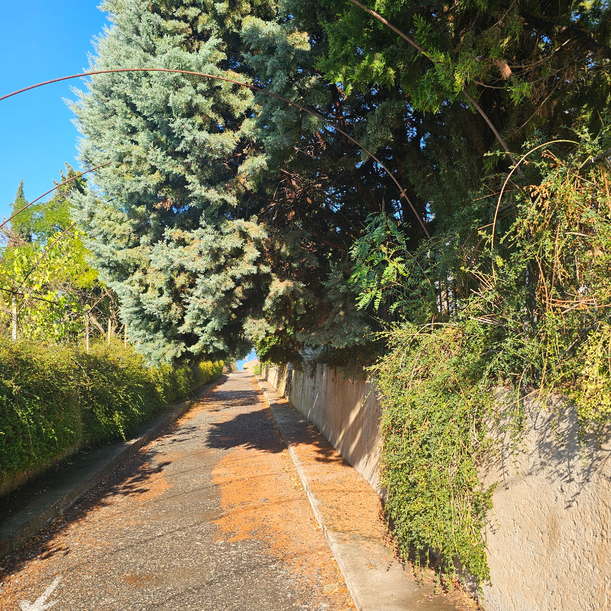 Дорога к морю...