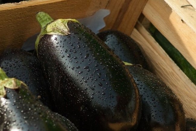 Настоящая новогодняя закуска: острые маринованные баклажаны