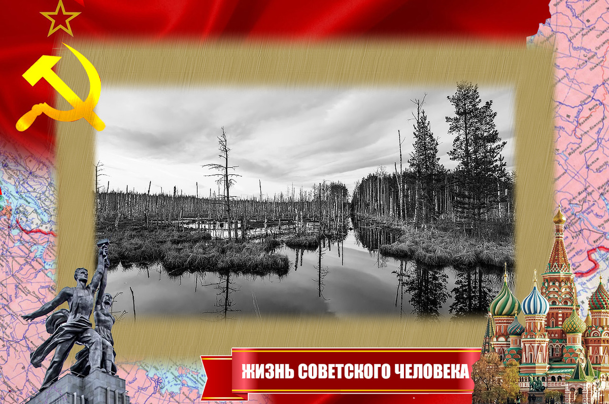 Васюганские болота