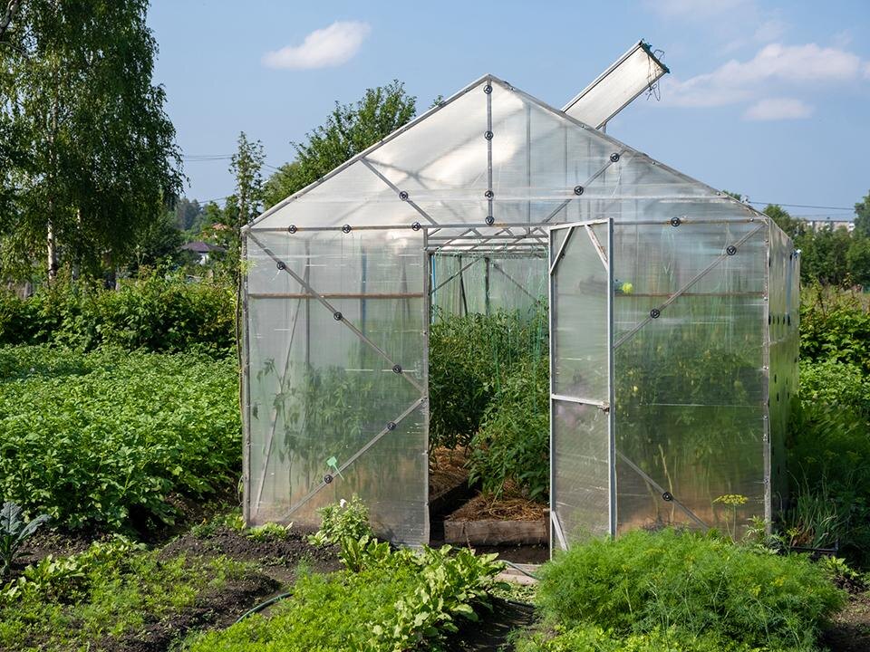    Фото: istockphoto.com