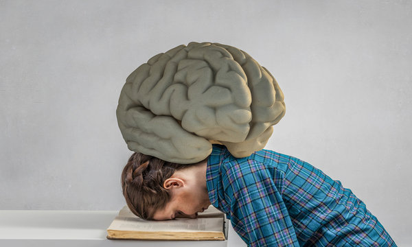 Что происходит в мозге ребёнка, когда он не хочет учиться❓