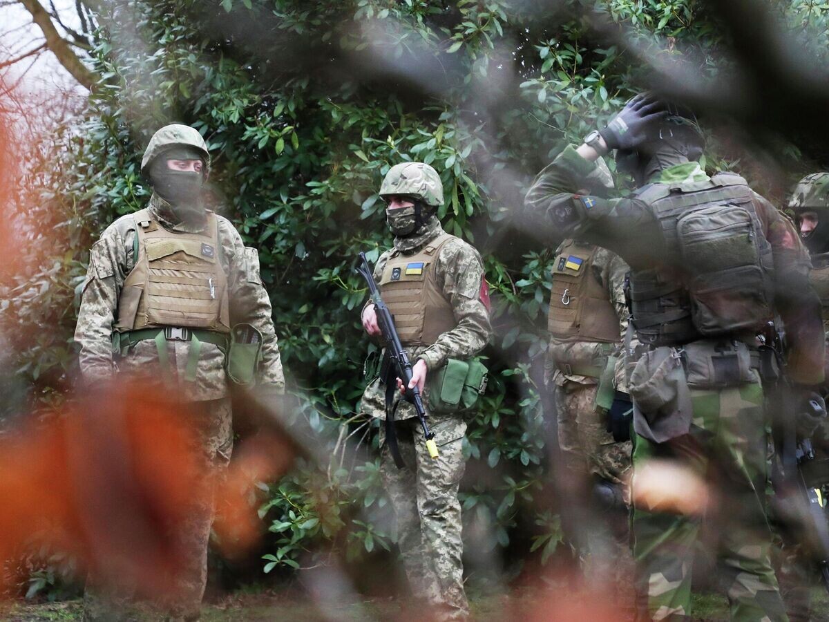    Украинские военнослужащие© AP Photo / Scott Heppell
