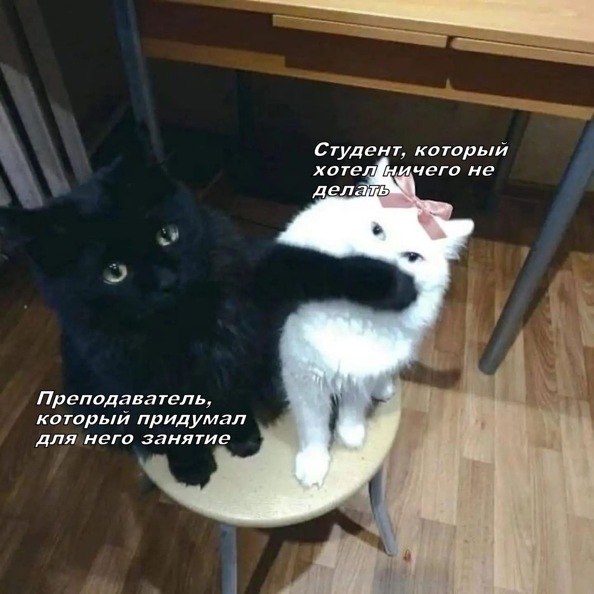 Без шансов)