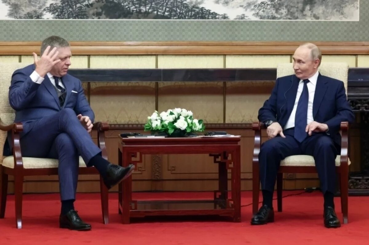    Песков объяснил фразу премьера Словакии Фицо о «жабе на дне колодца»