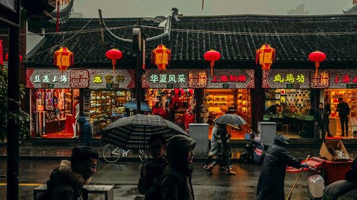  Фото: Unsplash