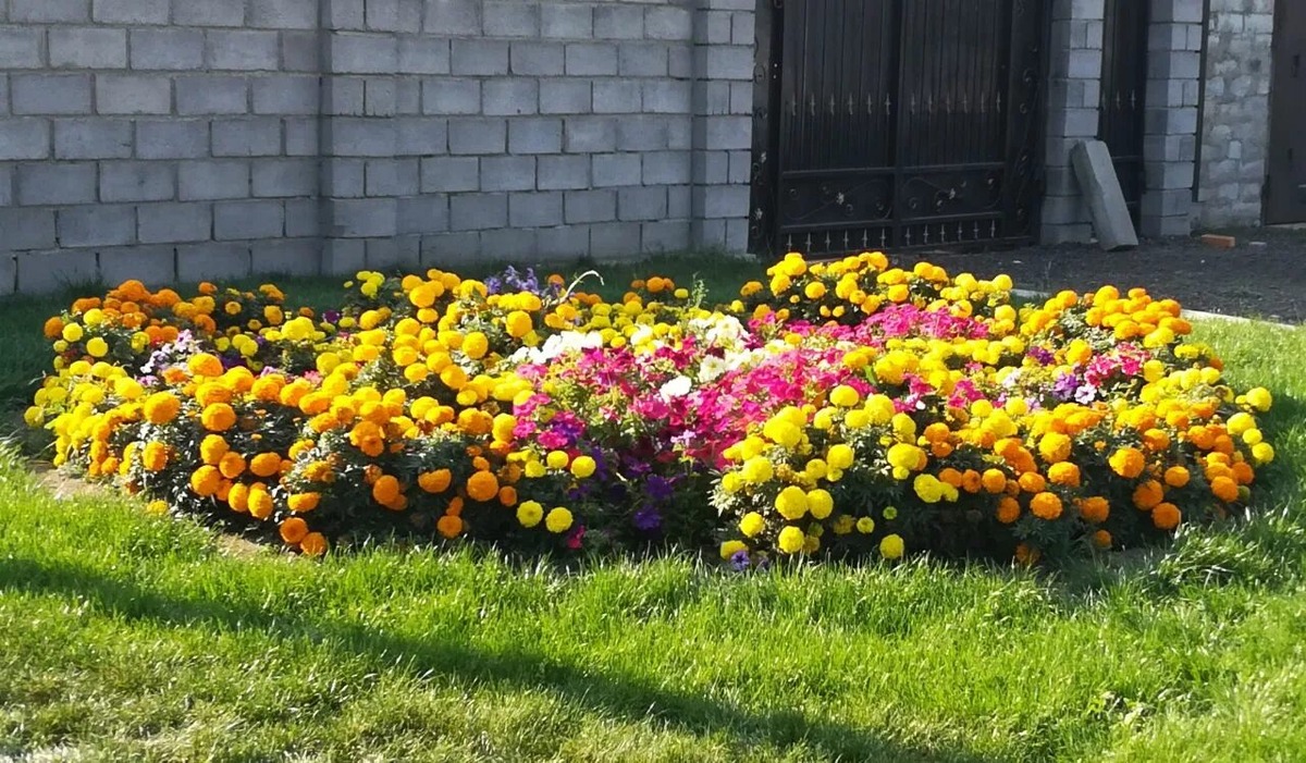 Фото использовано в качестве иллюстрации. Источник Яндекс-картинки