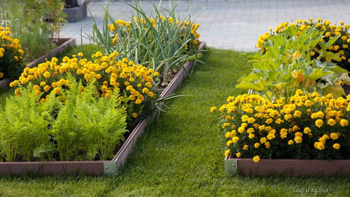 Фото использовано в качестве иллюстрации. Источник Яндекс-картинки