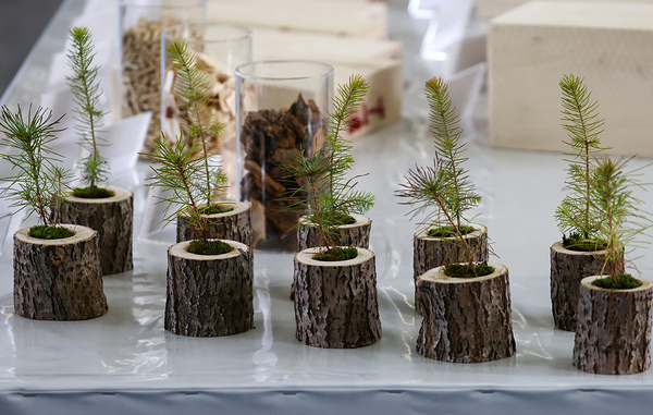 Александр Рюмин/ТАСС