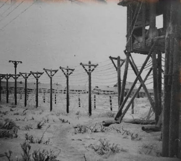 Фото 2 Ивдельлаг "колючка"