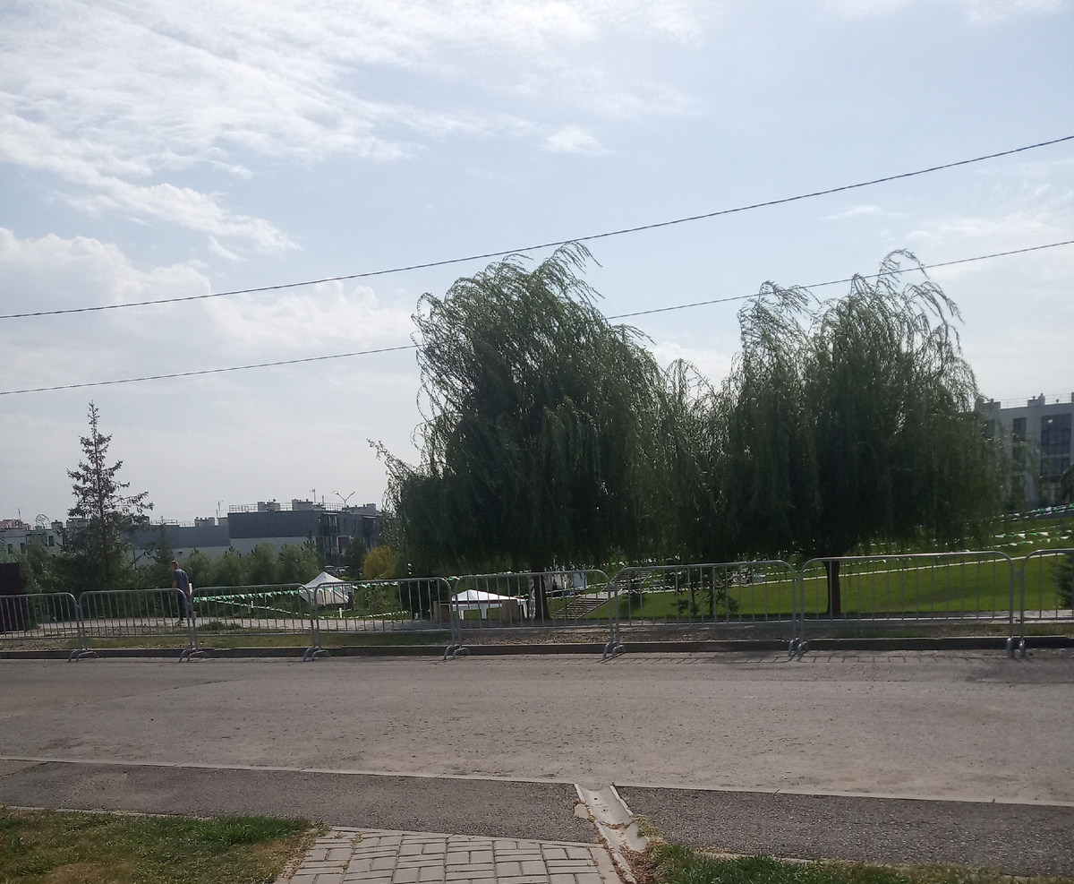 Юра во время прогулки сделал несколько фото по моей просьбе