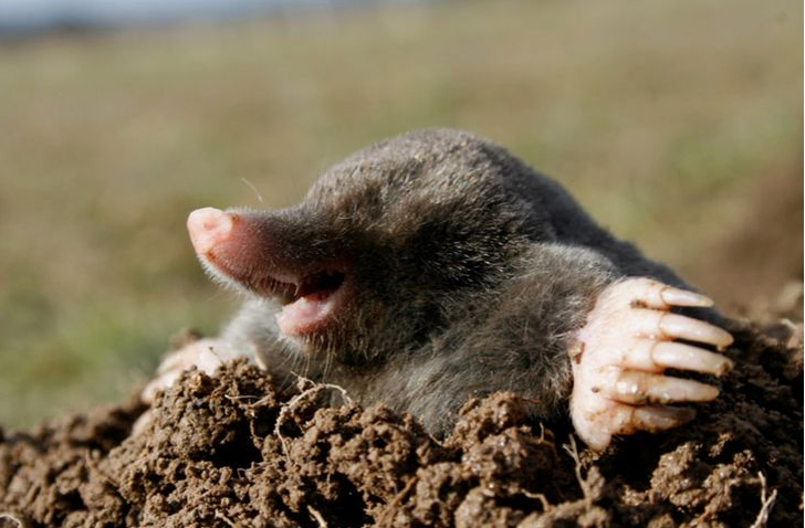 Поставь лайк!