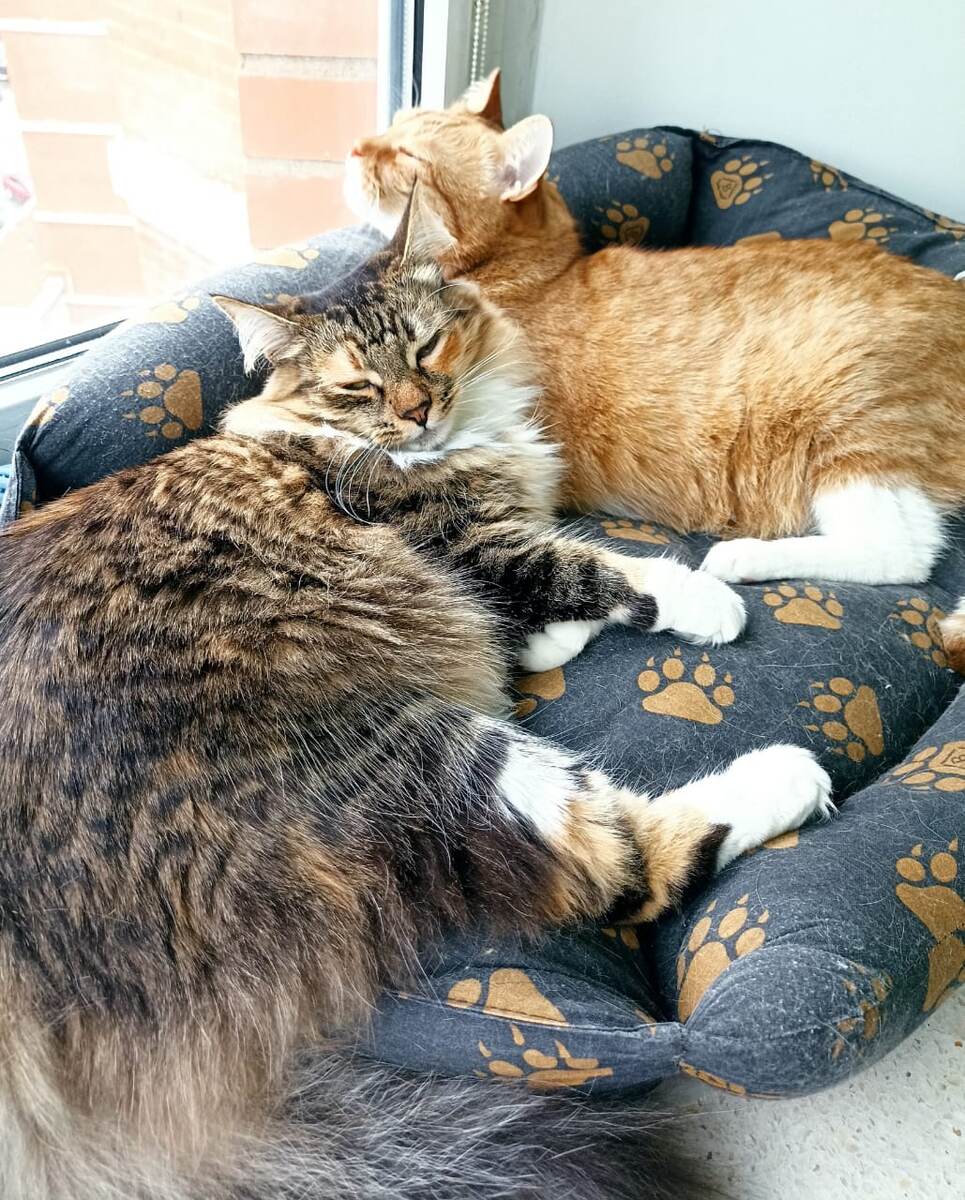 Вот как после этого работать то?)) 