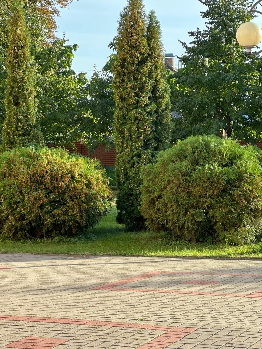 Напоминает сами знаете что. И все на этом акцентируют внимание