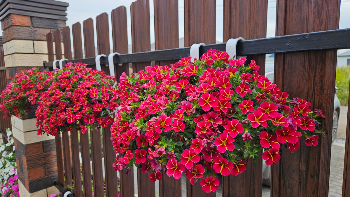 Такими наши калиброшки были всё лето