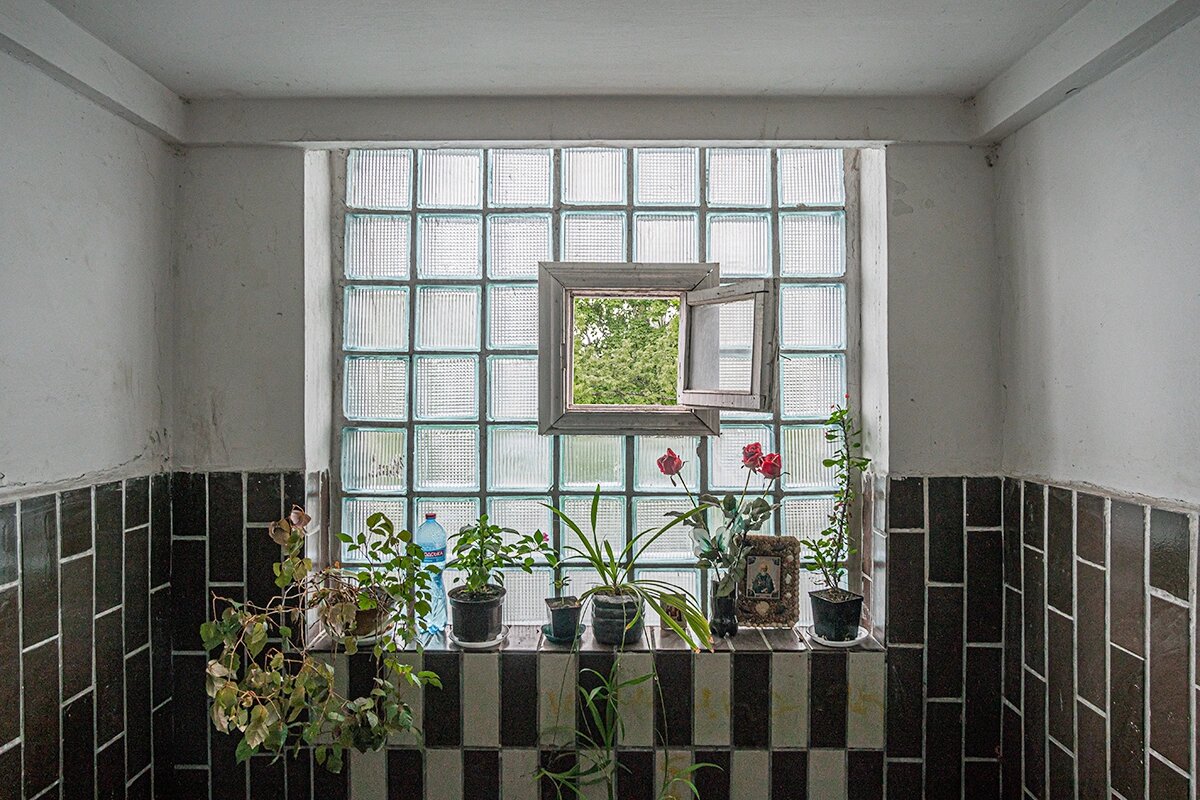 Фото: Dmytro Falkowskyi / Shutterstock / FOTODOM