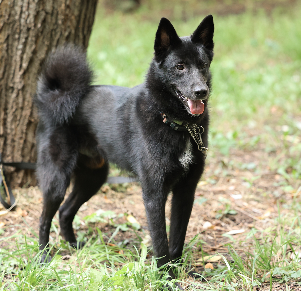 Стою, позирую, а вдруг в этот раз свезет?