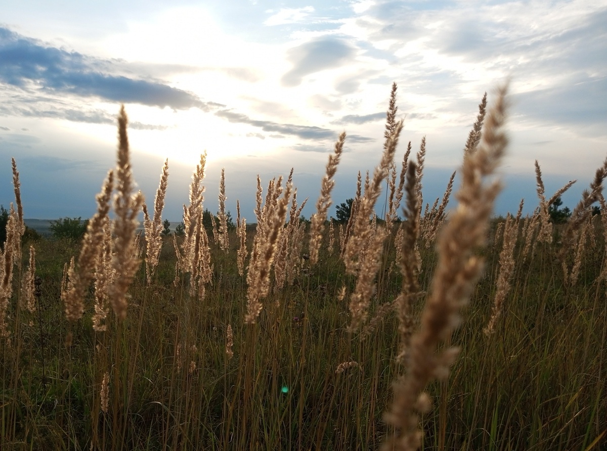 Вечер. Фото автора.