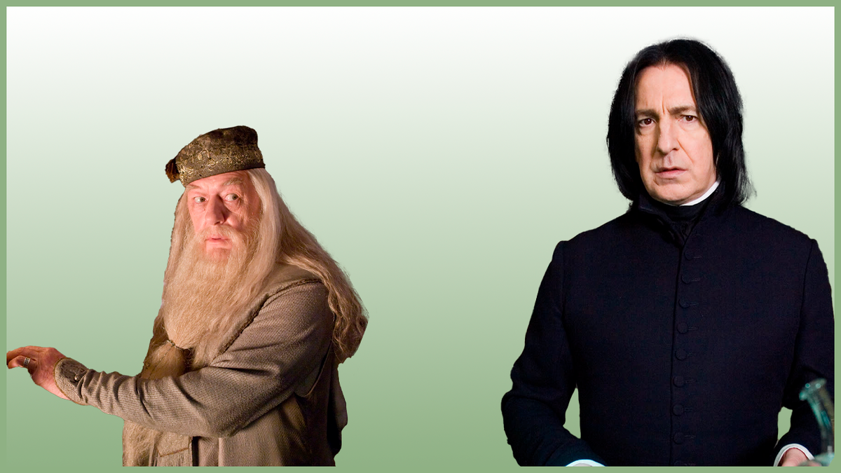 «Гарри Поттер»: Альбус Дамблдор и Северус Снейп (Снегг)