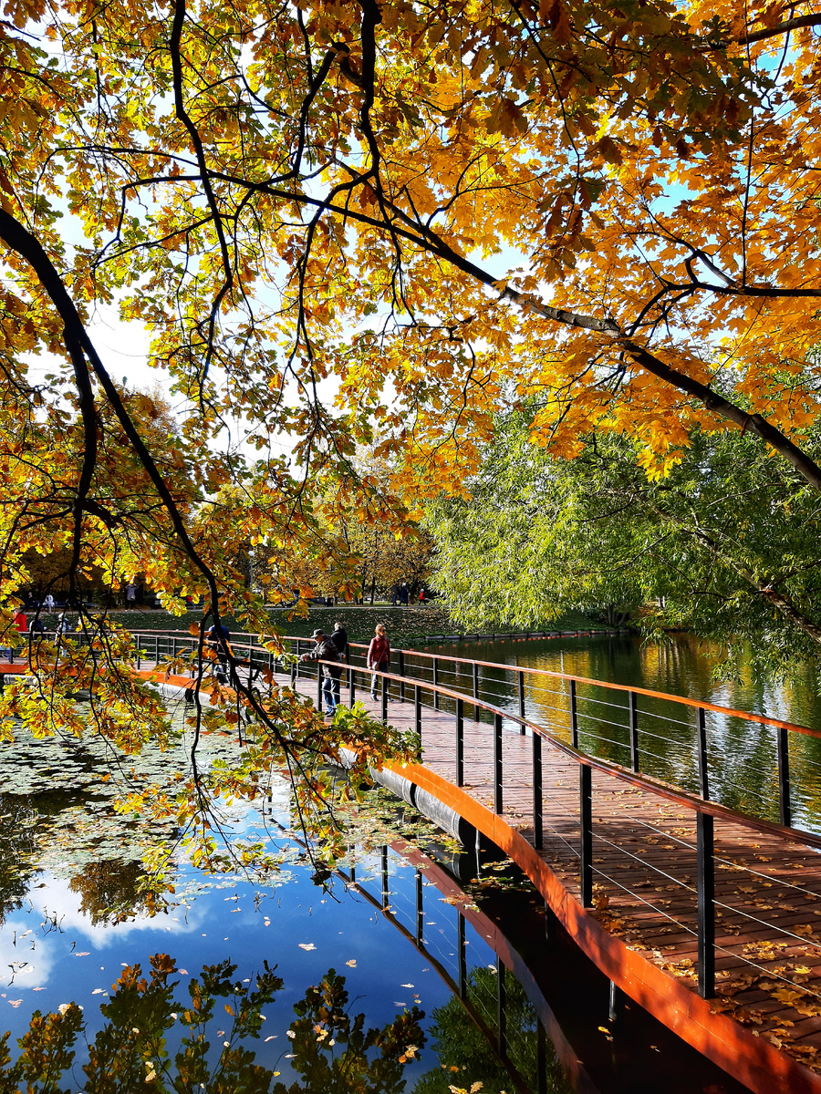 🍁Осень в Воронцовском парке (усадьба «Воронцово»)🍁