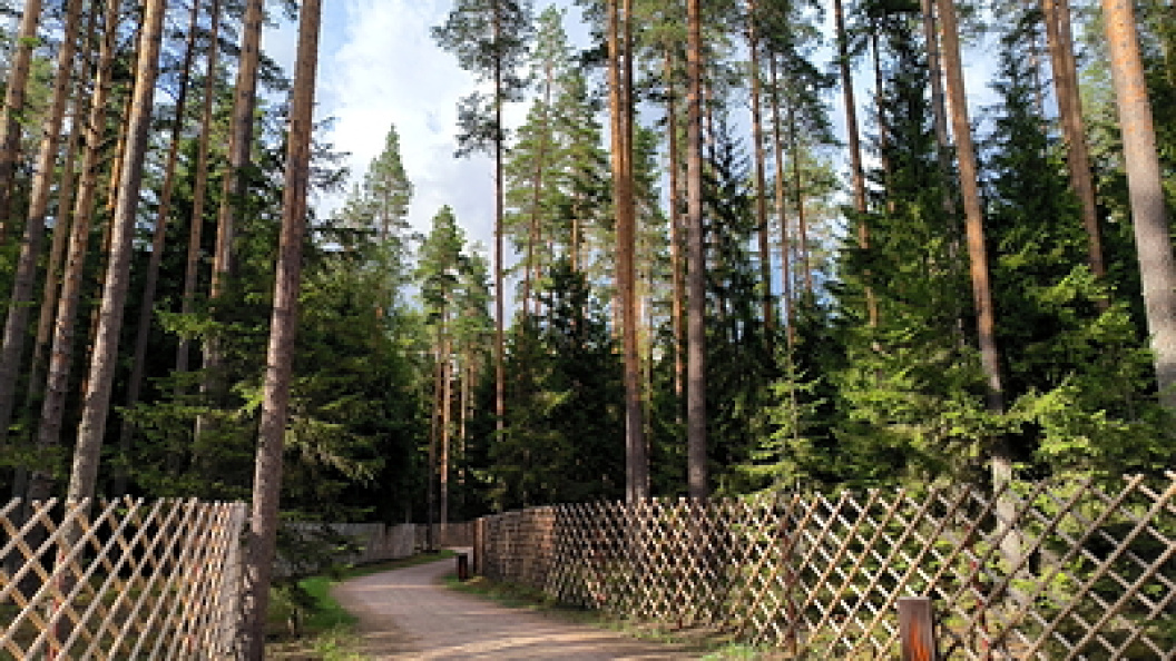    Maksim Konstantinov/Globallookpress