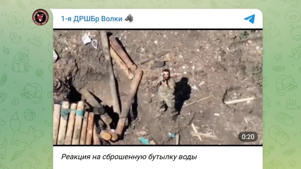   Телеграм-канал "1-я ДРШБр Волки"