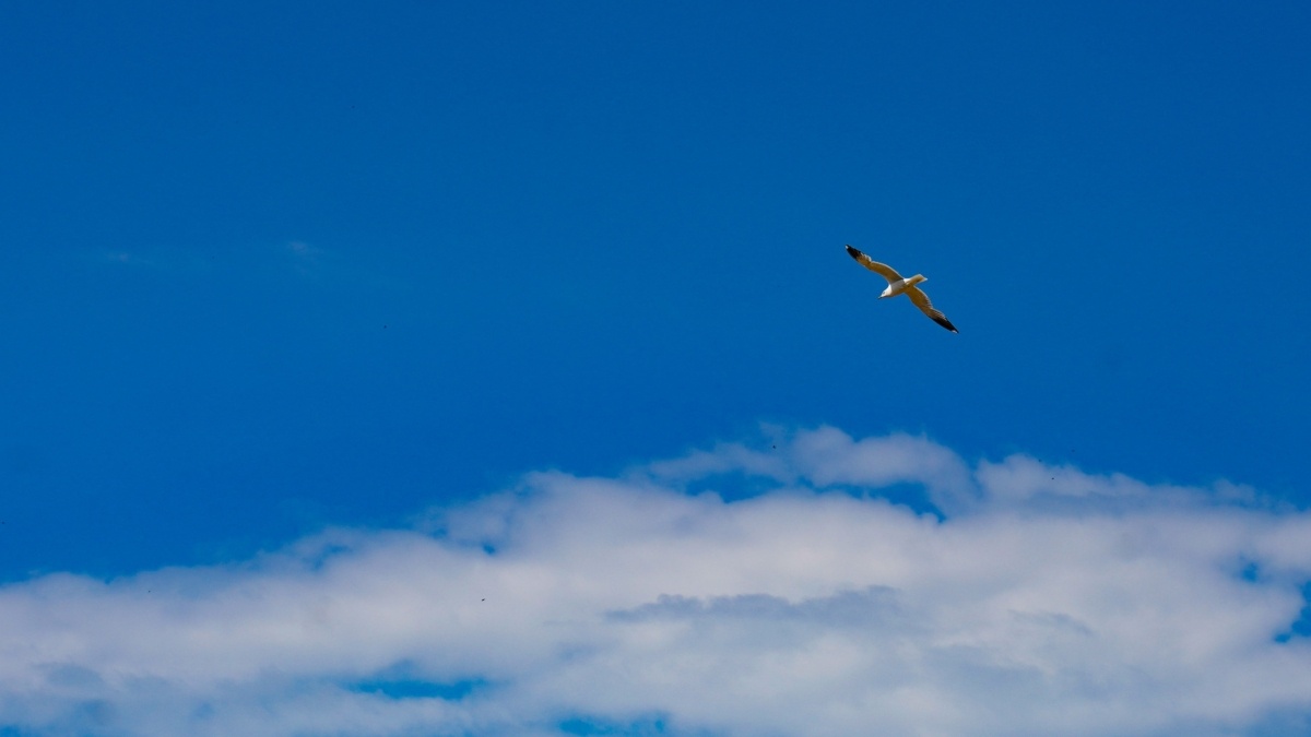 Светлана Мулыкина📷
