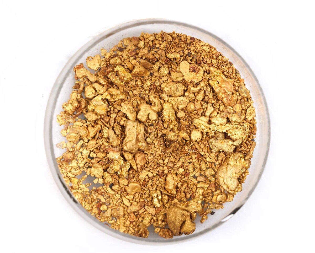 Форпост Северо-Запад/Санкт-Петербургский Горный музей / Золото 