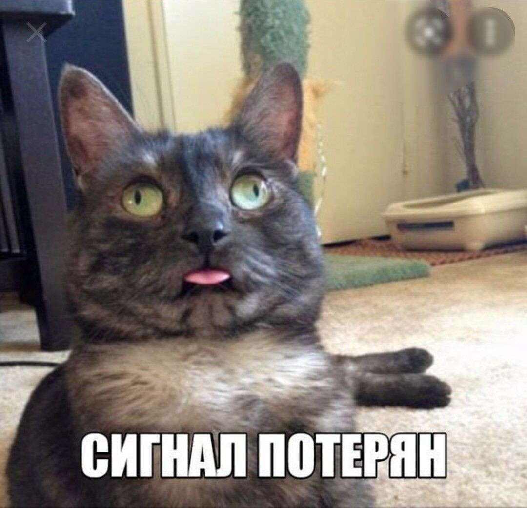 источник Яндекс-картинки