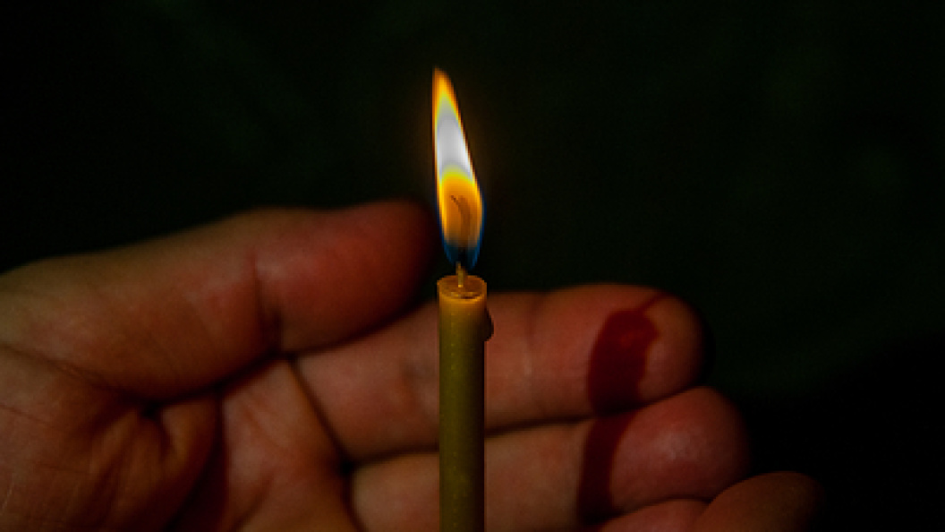    Svetlana Vozmilova/Globallookpress