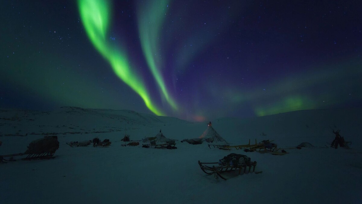    Фото: Shchipkova Elena/Shutterstock/Fotodom