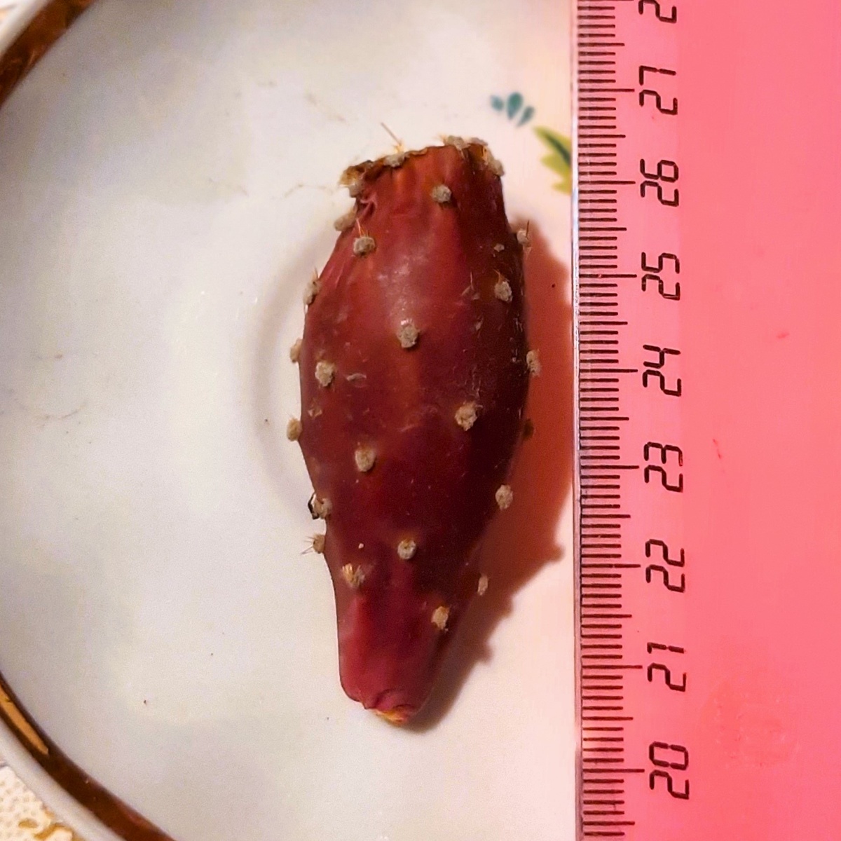 Примерно 5,5 см