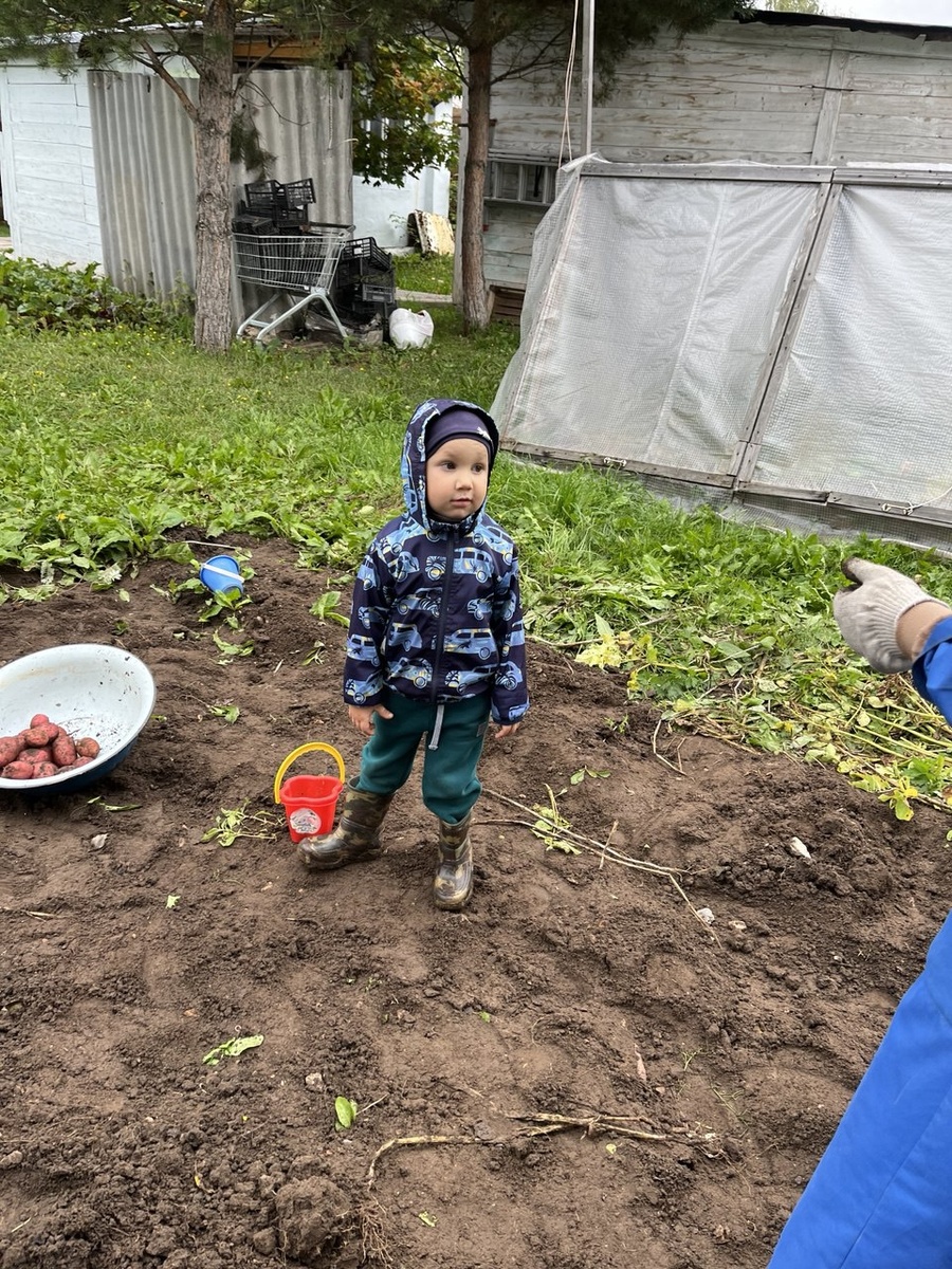 Трудятся честно руками, сами и пока всю картошку не перестаскают с поля. Мы с мужем ни разу не заставляли. Дети сами всегда просятся поработать с землёй 🙏