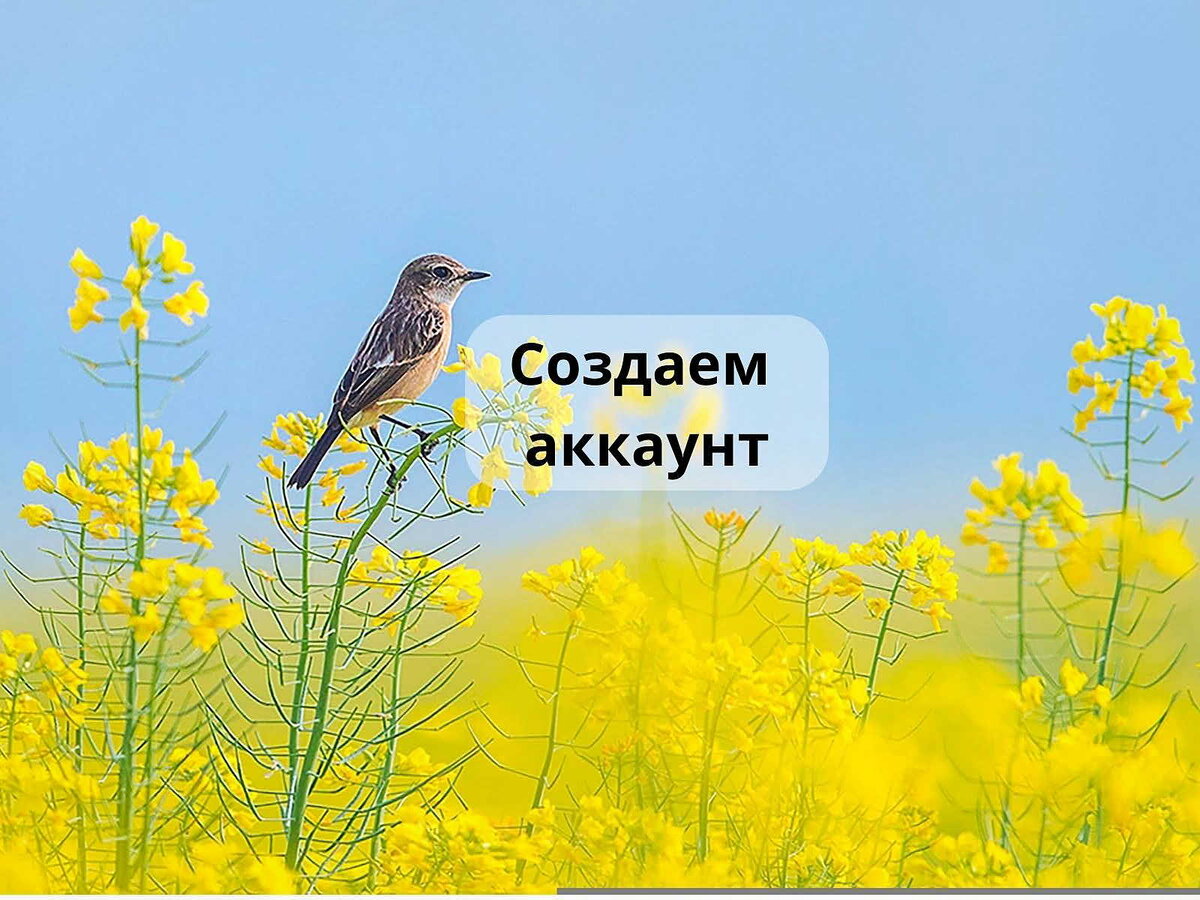 Создать профиль на авито