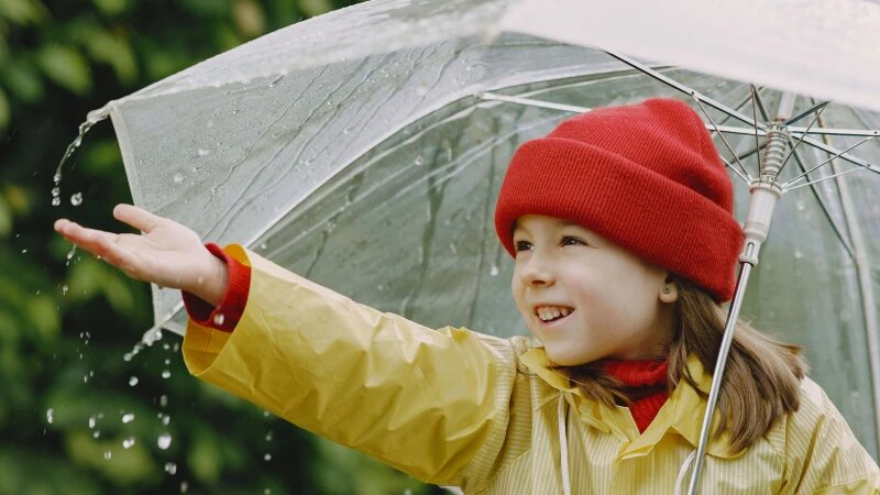     Дождь. freepik.com/prostooleh