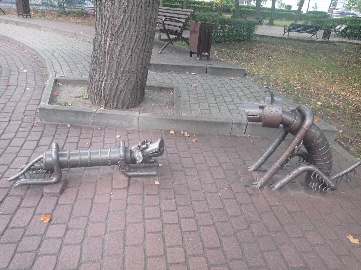 Фотография автора