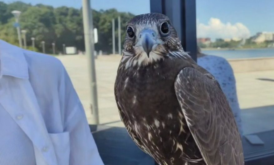    Источник фото: