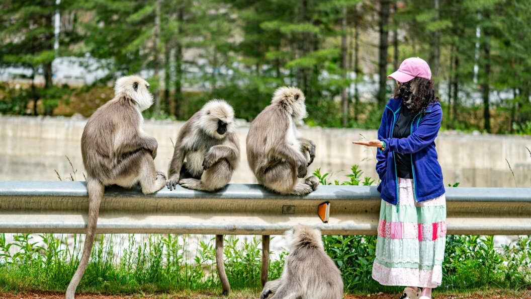    Фото: Tenzin Nyida/Globallookpress