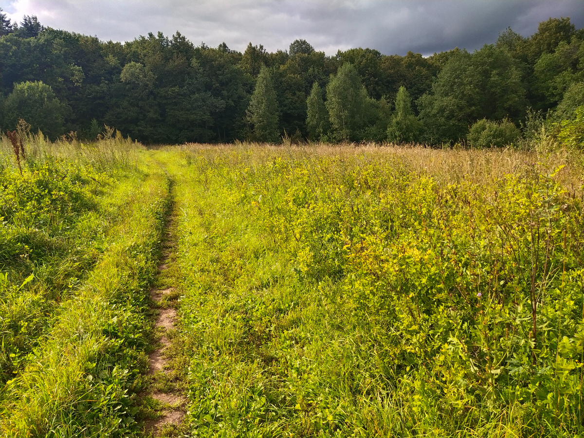 Личное фото
